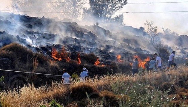 Muğla ve Bilecik'te eş zamanlı orman yangını!